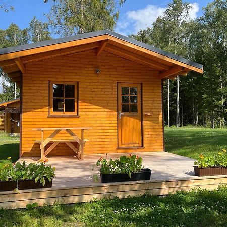 Marika Puhkekuela - Metsanurga Oeoemaja "Shared Bathroom" Nova Exterior foto